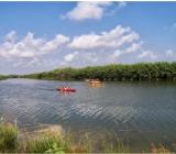 kayak por el Xúquer