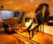 Museum des Salzs