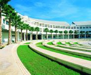 Musée De L’université D’ Alicante (Mua)