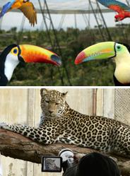 Terra Natura