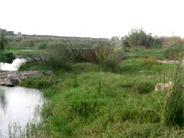 Alicante Golf