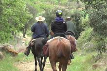 Castelló i cavall tenen un nom: Maestrat Eqüestre