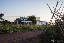 Horchatería Vida a Alboraia
