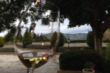Cultura Violeta, enoturismo a tu alcance