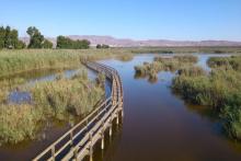 Avanzatour vous montre les charmes naturels d'Elche