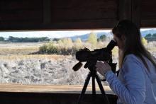Turismo ornitológico en la Comunitat Valenciana con Actio Birding