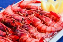 Mediterranean cuisine in Casa Jose Obelix de Gandia