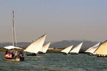 Erleben Sie die Albufera de València wie nie zuvor mit dem Albufera Parc