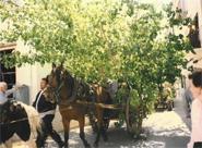 LA ENRAMÁ FESTIVITIES