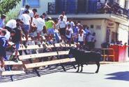 Fiestas en Moixent