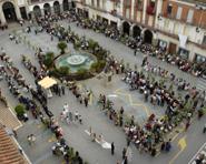 Festa de les Barraquetes