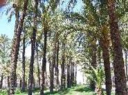 Parque El Parmeral