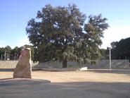 Parque la Carrasca