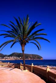 Les Platgetes