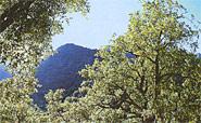 Naturpark Sierra de Espadan