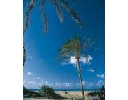 Norte Beach