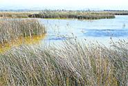 Le Parc Naturel du Prat de Cabanes-Torreblanca