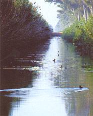 Le Parc Naturel des Lagunes de la Mata et Torrevieja