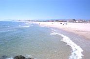 Playa Rafalcaid