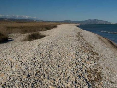 Strand Quartell Vell