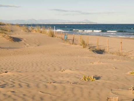 Playa del Campo / Camp
