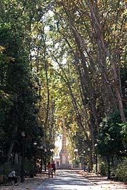 Parque Ribalta