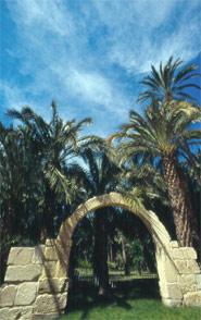 Municipal Park