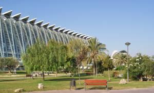 Disfruta de la ciudad de Valencia haciendo deporte
