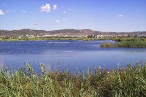 Le printemps est arrivé sur la côte de Castellón