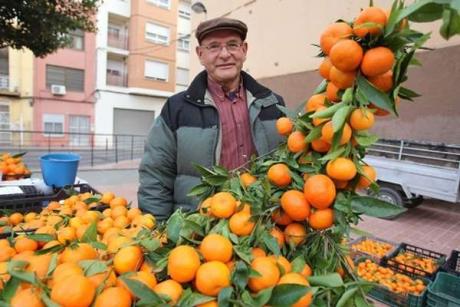 Naranjas de Castellón, del huerto a la mesa
