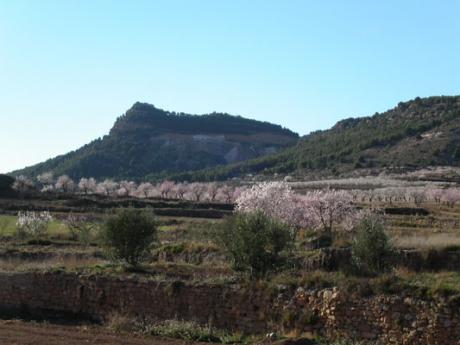Feiern Der Santa Bárbara