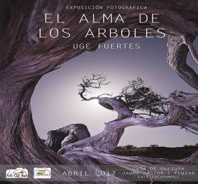 Exposiciones Marzo y Abril Calp 2017