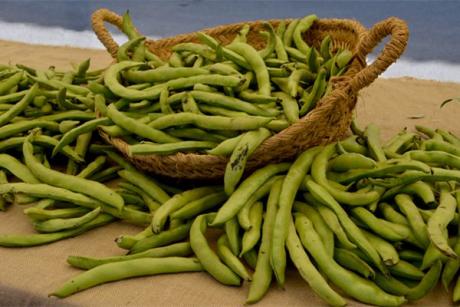 La Festa del Vi y la Fava, disfruta de los paisajes y la gastronomía de Benitatxell