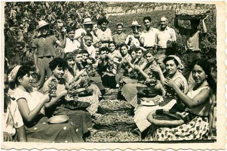Documentary “Les estisoradores”