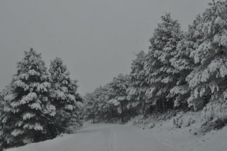 Schneelandschaften in der Region Valencia