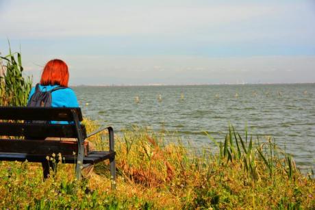 Día de la Mujer: “La Mujer en la Conservación de la Naturaleza”