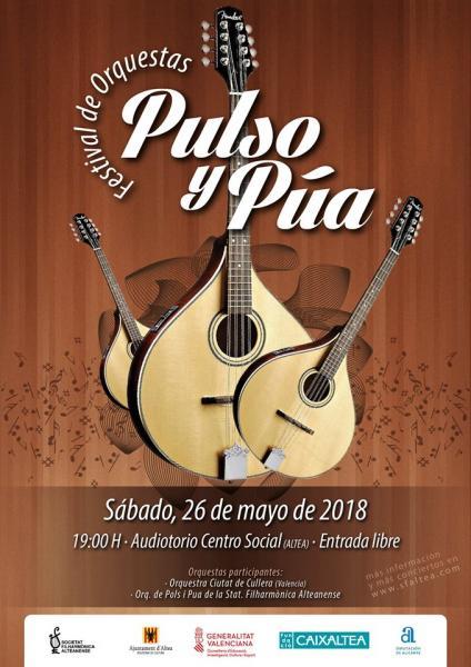 Festival de Orquestas de Pulso y Púa