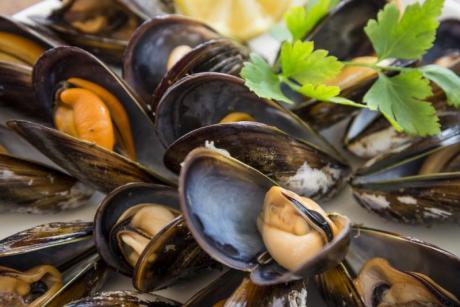 Clóchina, ein gastronomisches Juwel der Stadt València