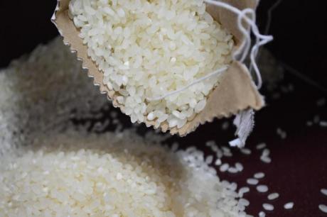 Cómo es y se cultiva el arroz en València (ciclos, fases, hitos a lo largo del proceso)