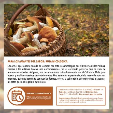 Senderismo para los amantes del sabor: ruta micológica
