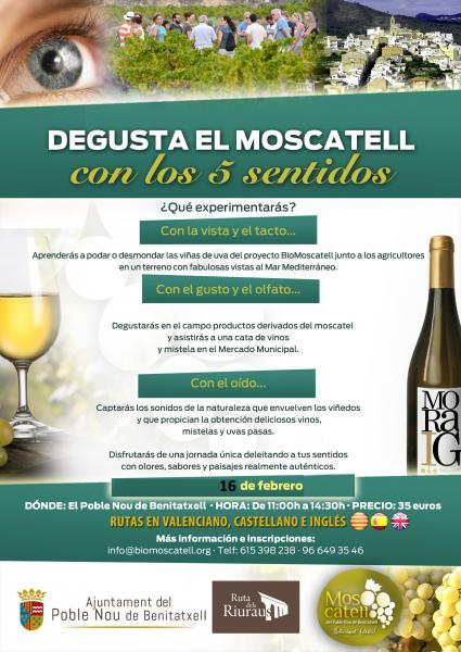 Degusta el Moscatel con los 5 Sentidos