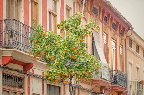 Sorolla, Modernismo y el Cabanyal, un barrio inspirador