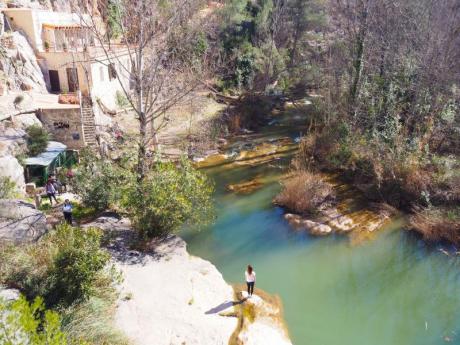 Visitar Navajas y su árbol centenario