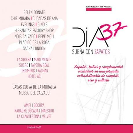 Día 37