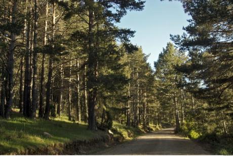 Chodos te espera con mil y una aventuras en el III Aplec del Penyagolosa
