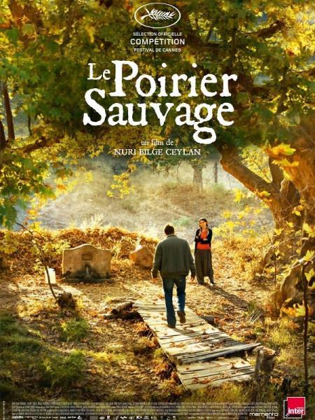Cine: Ahlat Agaci (El peral salvaje)