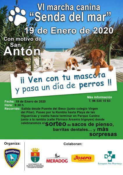 VI Marcha canina "Senda del mar" Con motivo de San Antón (Patrón de los animales) en Pilar de la Horadada 2020